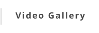 Video Gallery