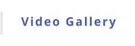 Video Gallery