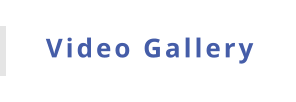 Video Gallery
