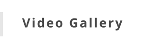 Video Gallery