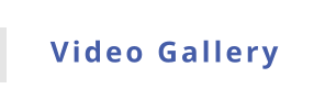 Video Gallery